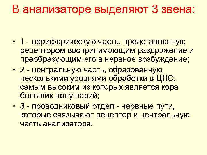 В анализаторе выделяют 3 звена: • 1 периферическую часть, представленную рецептором воспринимающим раздражение и