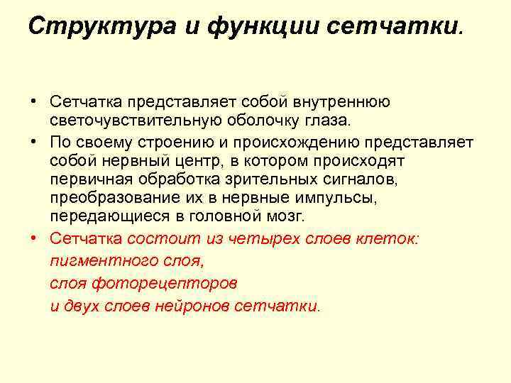 Структура и функции сетчатки. • Сетчатка представляет собой внутреннюю светочувствительную оболочку глаза. • По