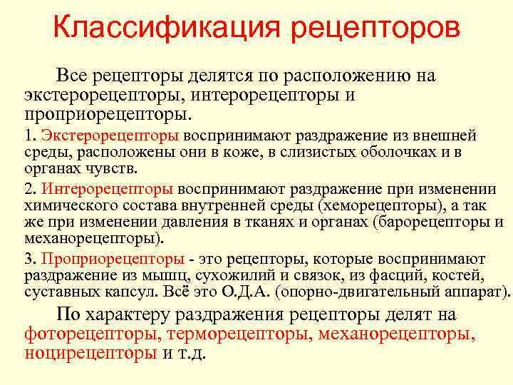 Классификация рецепторов Все рецепторы делятся по расположению на экстерорецепторы, интерорецепторы и проприорецепторы. 1. Экстерорецепторы