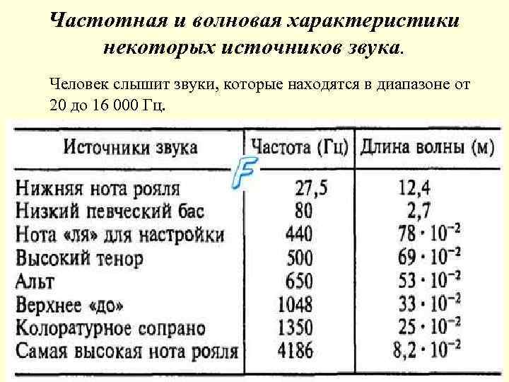 Частотная и волновая характеристики некоторых источников звука. Человек слышит звуки, которые находятся в диапазоне