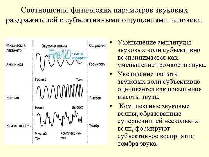 Соотношение физических параметров звуковых раздражителей с субъективными ощущениями человека. • Уменьшение амплитуды звуковых волн