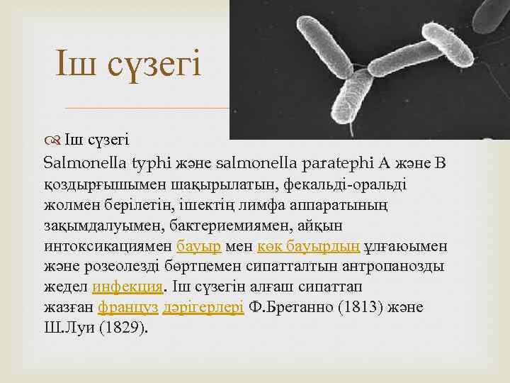 Іш сүзегі Salmonella typhi және salmonella paratephi А және В қоздырғышымен шақырылатын, фекальді-оральді жолмен