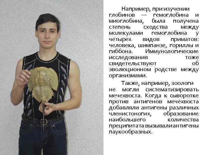 Например, при изучении глобинов — гемоглобина и миоглобина, была получена степень сходства между молекулами