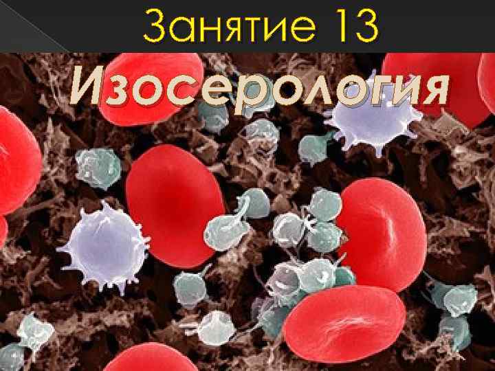 Занятие 13 Изосерология 