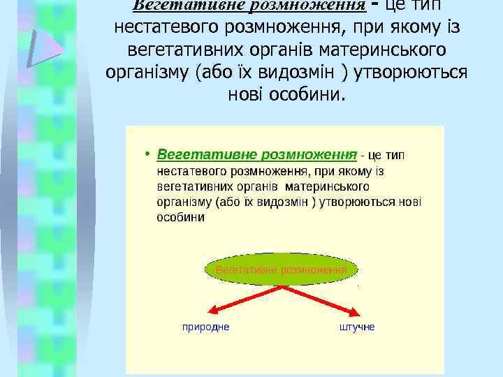 Вегетативне розмноження - це тип нестатевого розмноження, при якому із вегетативних органів материнського організму