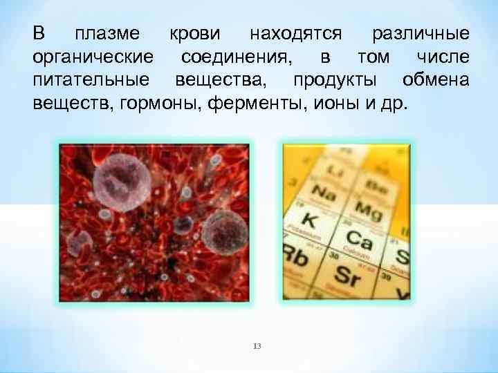 В плазме крови находятся различные органические соединения, в том числе питательные вещества, продукты обмена