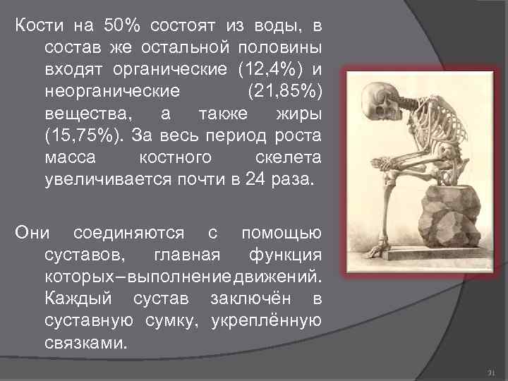 Кости на 50% состоят из воды, в состав же остальной половины входят органические (12,