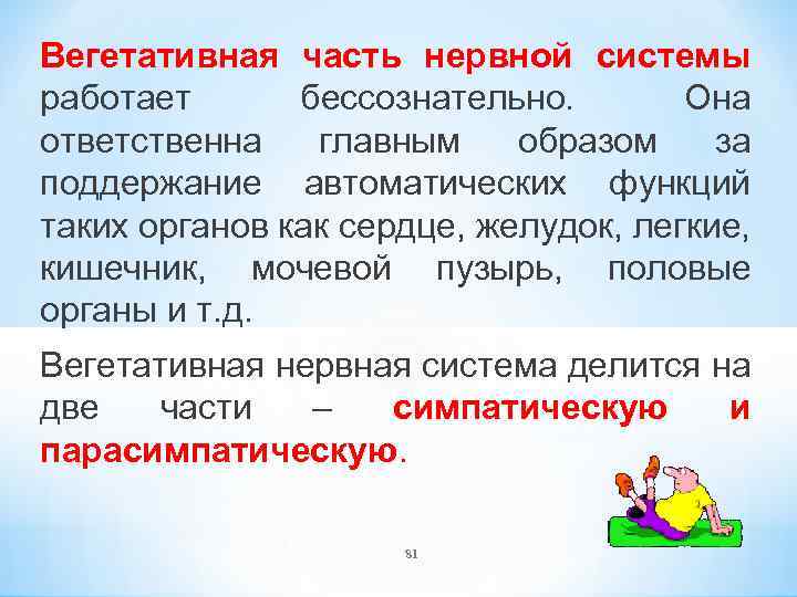 Вегетативная часть нервной системы работает бессознательно. Она ответственна главным образом за поддержание автоматических функций