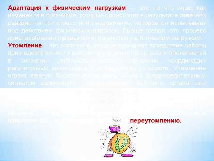 Адаптация к физическим нагрузкам — это не что иное, как изменения в организме, которые