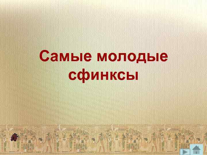 Самые молодые сфинксы 