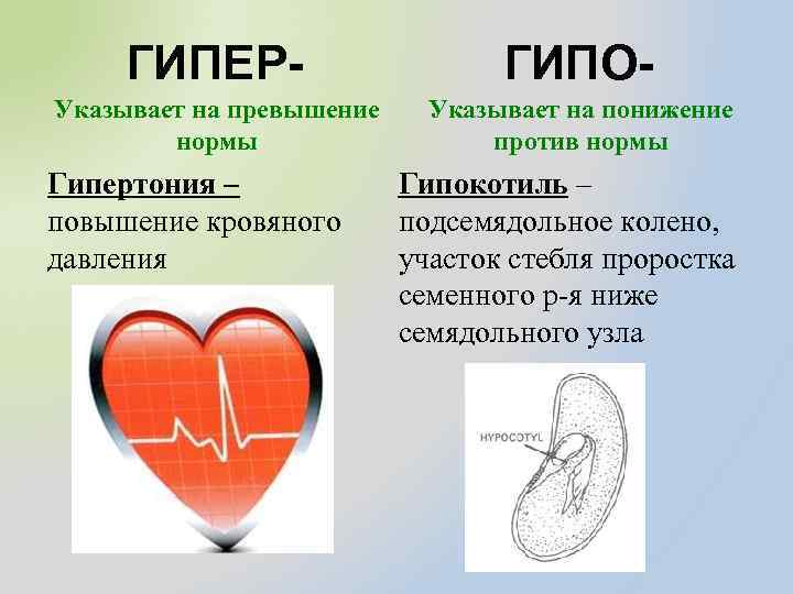 ГИПЕР- ГИПО- Указывает на превышение нормы Указывает на понижение против нормы Гипертония – повышение
