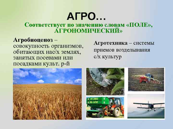 АГРО… Соответствует по значению словам «ПОЛЕ» , АГРОНОМИЧЕСКИЙ» Агробиоценоз – Агротехника – системы совокупность