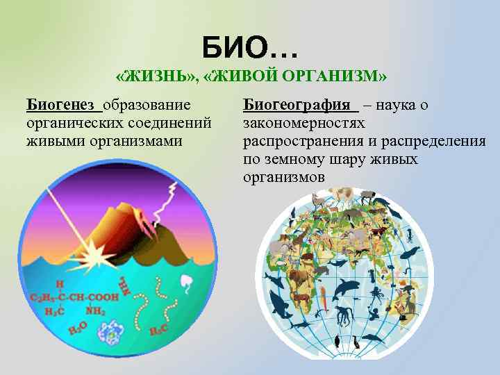 БИО… «ЖИЗНЬ» , «ЖИВОЙ ОРГАНИЗМ» Биогенез образование органических соединений живыми организмами Биогеография – наука