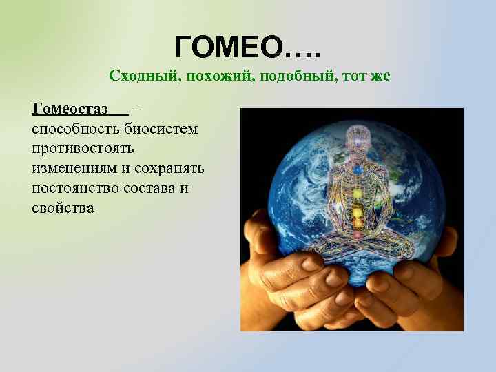 ГОМЕО…. Сходный, похожий, подобный, тот же Гомеостаз – способность биосистем противостоять изменениям и сохранять