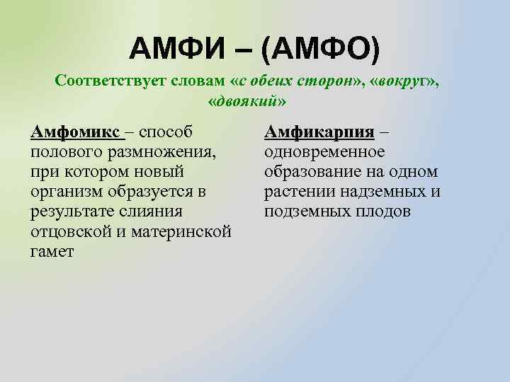 АМФИ – (АМФО) Соответствует словам «с обеих сторон» , «вокруг» , «двоякий» Амфомикс –