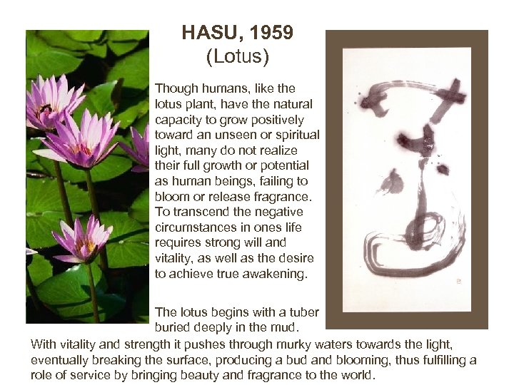 HASU, 1959 (Lotus) Though humans, like the lotus plant, have the natural capacity to