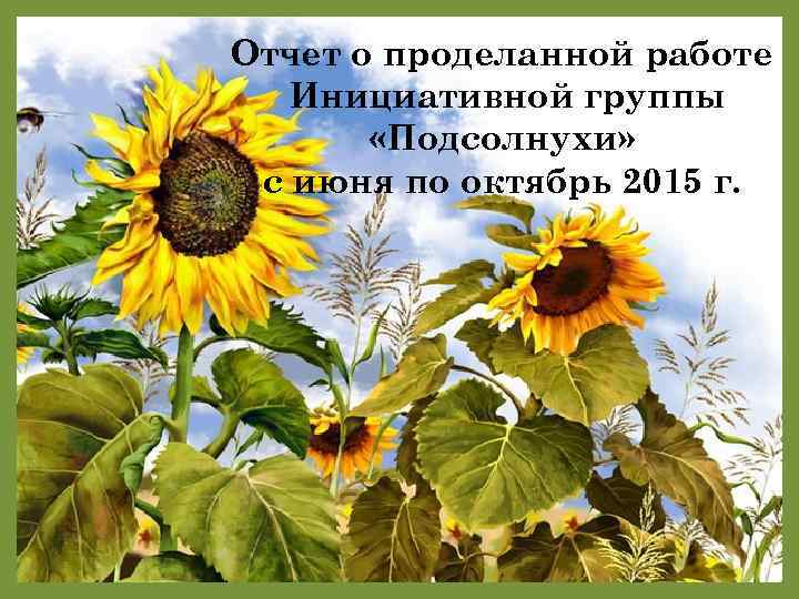 Отчет о проделанной работе Инициативной группы «Подсолнухи» с июня по октябрь 2015 г. 