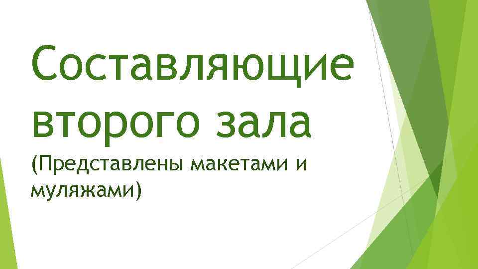 Составляющие второго зала (Представлены макетами и муляжами) 