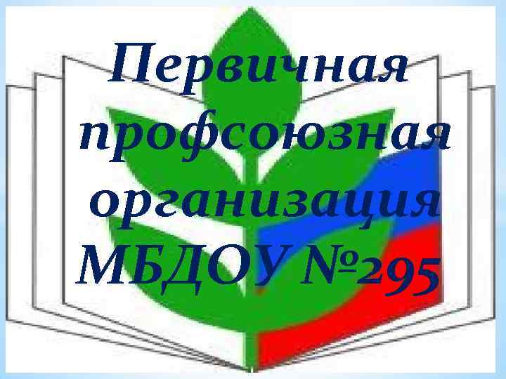 Первичная профсоюзная организация МБДОУ № 295 