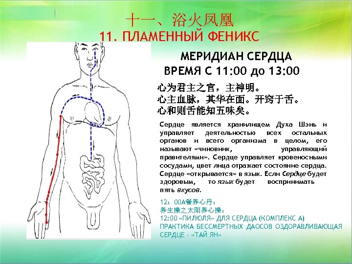 十一、浴火凤凰 11. ПЛАМЕННЫЙ ФЕНИКС МЕРИДИАН СЕРДЦА ВРЕМЯ С 11: 00 до 13: 00 心为君主之官，主神明。