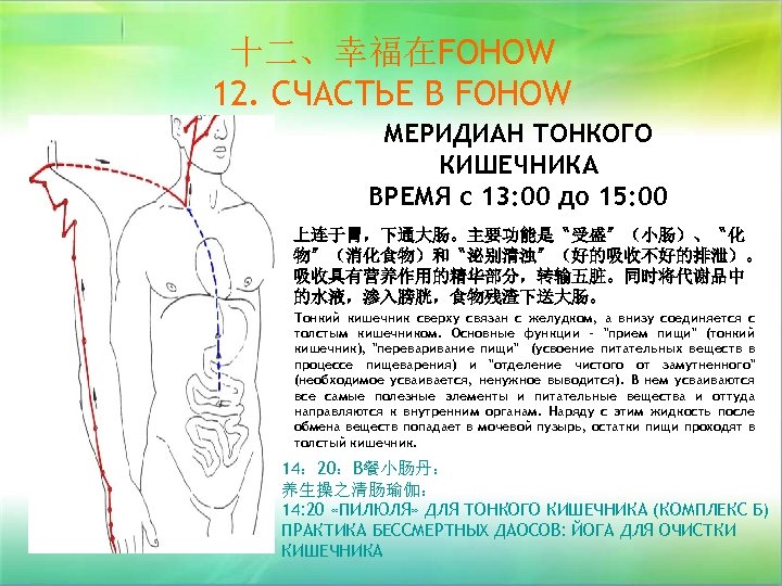 十二、幸福在FOHOW 12. СЧАСТЬЕ В FOHOW МЕРИДИАН ТОНКОГО КИШЕЧНИКА ВРЕМЯ с 13: 00 до 15: