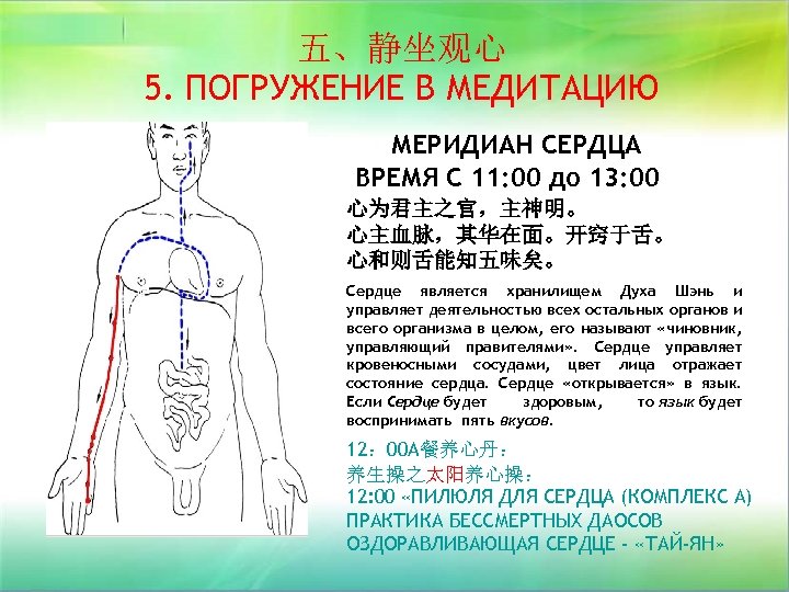 五、静坐观心 5. ПОГРУЖЕНИЕ В МЕДИТАЦИЮ МЕРИДИАН СЕРДЦА ВРЕМЯ С 11: 00 до 13: 00