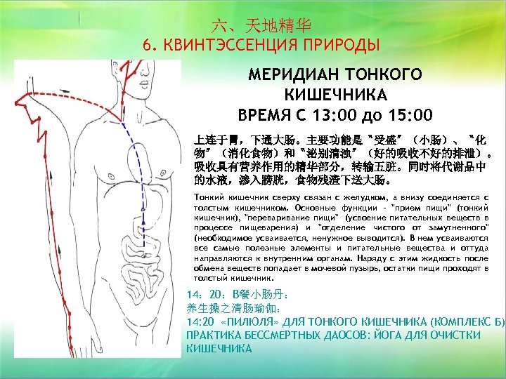 六、天地精华 6. КВИНТЭССЕНЦИЯ ПРИРОДЫ МЕРИДИАН ТОНКОГО КИШЕЧНИКА ВРЕМЯ С 13: 00 до 15: 00