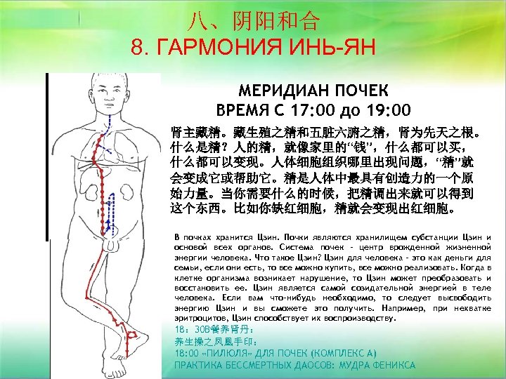 八、阴阳和合 8. ГАРМОНИЯ ИНЬ-ЯН МЕРИДИАН ПОЧЕК ВРЕМЯ С 17: 00 до 19: 00 肾主藏精。藏生殖之精和五脏六腑之精，肾为先天之根。