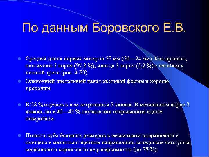 По данным Боровского Е. В. Средняя длина первых моляров 22 мм (20— 24 мм).