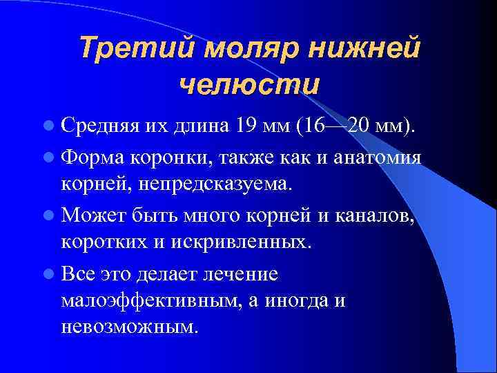 Третий моляр нижней челюсти l Средняя их длина 19 мм (16— 20 мм). l