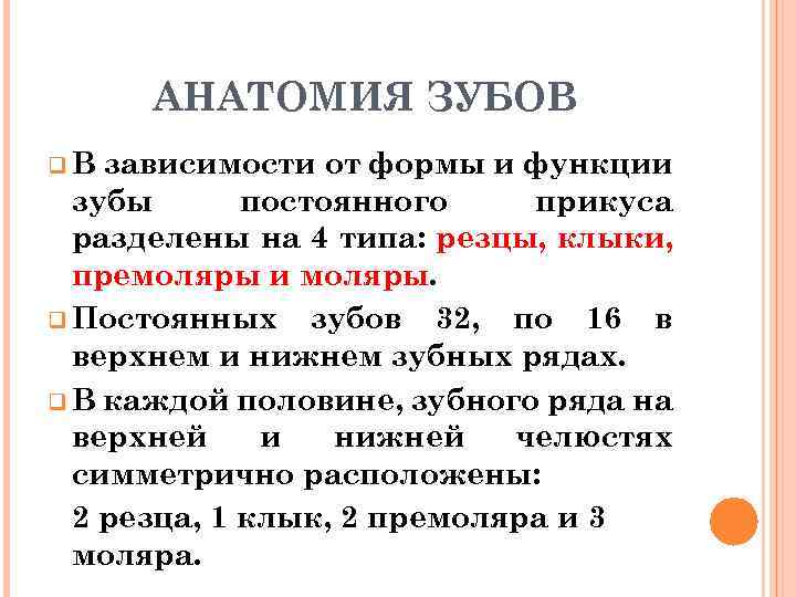 АНАТОМИЯ ЗУБОВ q. В зависимости от формы и функции зубы постоянного прикуса разделены на