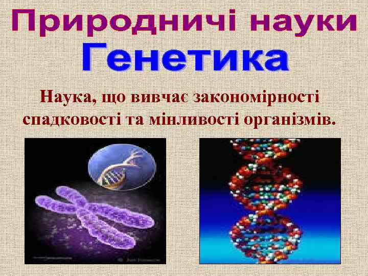 Наука, що вивчає закономірності спадковості та мінливості організмів. 
