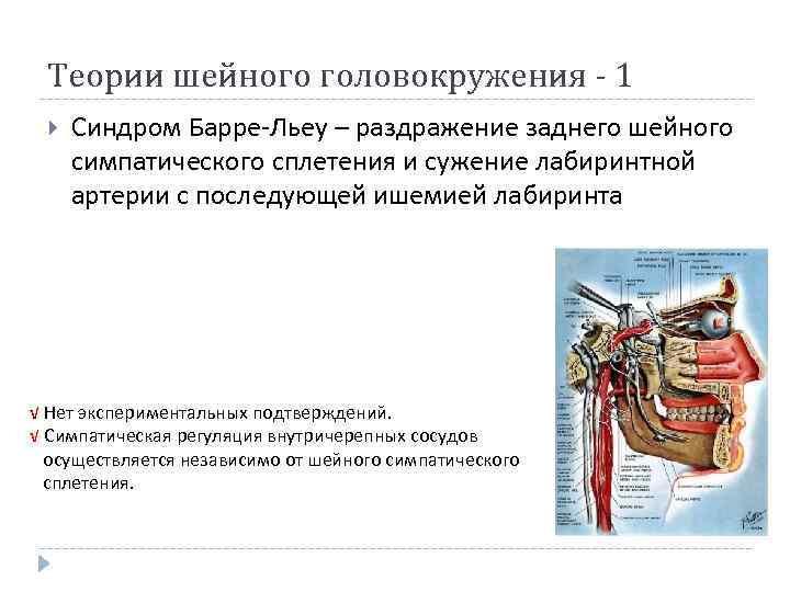 Теории шейного головокружения - 1 Синдром Барре-Льеу – раздражение заднего шейного симпатического сплетения и