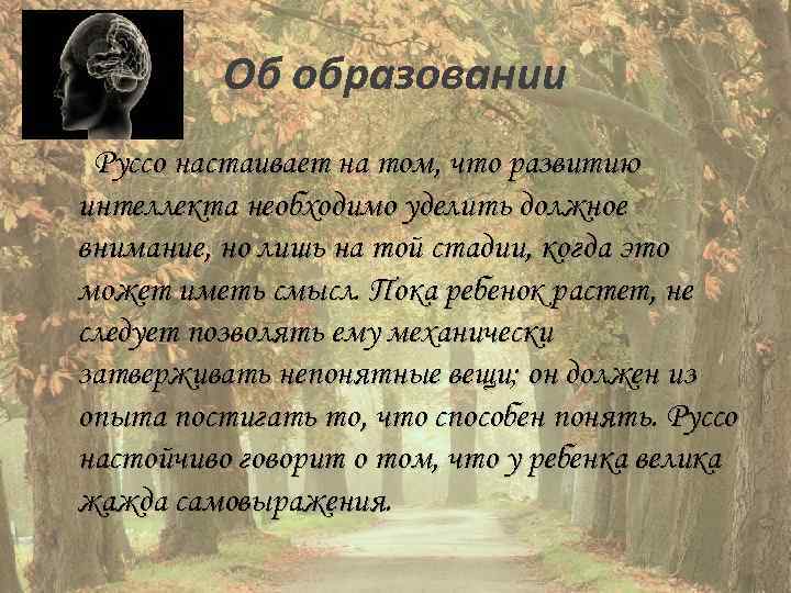 Об образовании Руссо настаивает на том, что развитию интеллекта необходимо уделить должное внимание, но