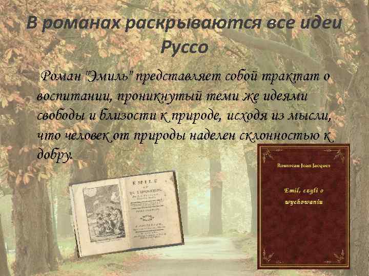 В романах раскрываются все идеи Руссо Роман 