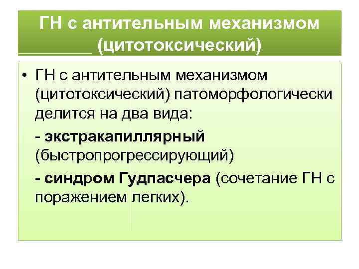 ГН с антительным механизмом (цитотоксический) • ГН с антительным механизмом (цитотоксический) патоморфологически делится на