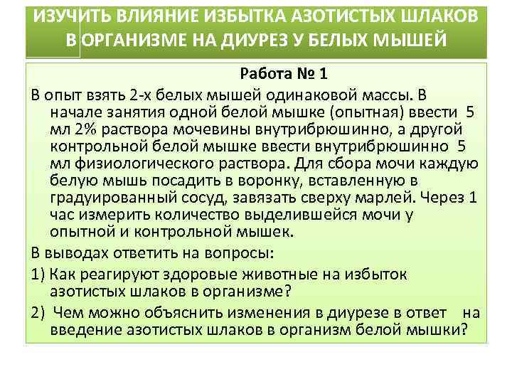 ИЗУЧИТЬ ВЛИЯНИЕ ИЗБЫТКА АЗОТИСТЫХ ШЛАКОВ В ОРГАНИЗМЕ НА ДИУРЕЗ У БЕЛЫХ МЫШЕЙ Работа №