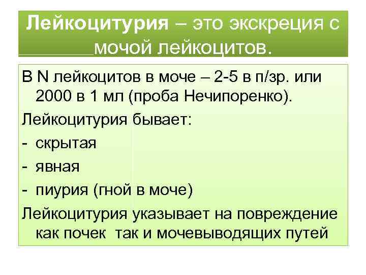 Лейкоцитурия – это экскреция с мочой лейкоцитов. В N лейкоцитов в моче – 2
