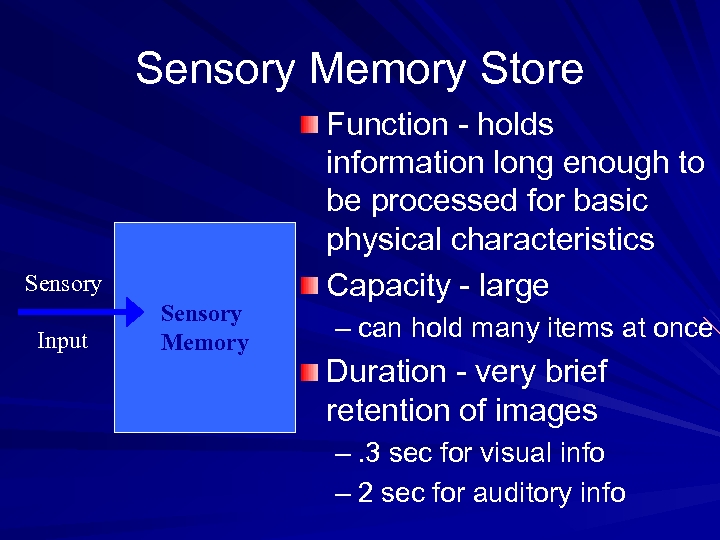 Sensory Memory Store Sensory Input Sensory Memory Function - holds information long enough to