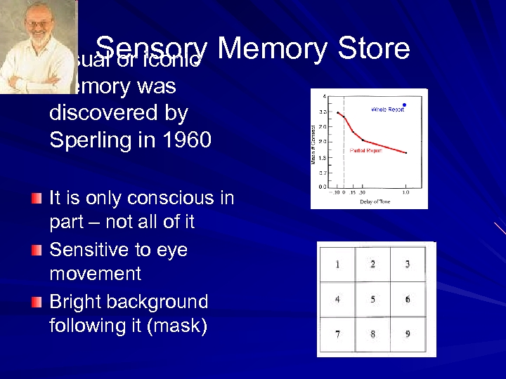 Sensory Memory Store Visual or iconic memory was discovered by Sperling in 1960 It