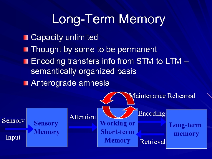 Long-Term Memory Capacity unlimited Thought by some to be permanent Encoding transfers info from