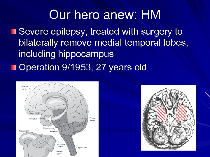 Our hero anew: HM Severe epilepsy, treated with surgery to bilaterally remove medial temporal