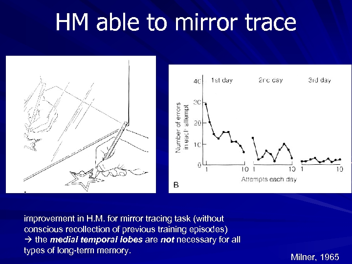 HM able to mirror trace improvement in H. M. for mirror tracing task (without