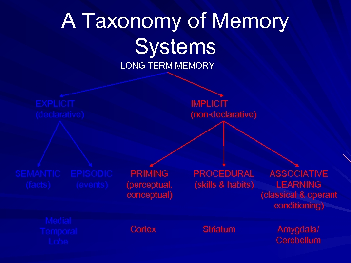 A Taxonomy of Memory Systems LONG TERM MEMORY EXPLICIT (declarative) SEMANTIC (facts) EPISODIC (events)