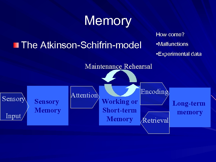 Memory How come? The Atkinson-Schifrin-model • Malfunctions • Experimental data Maintenance Rehearsal Sensory Input