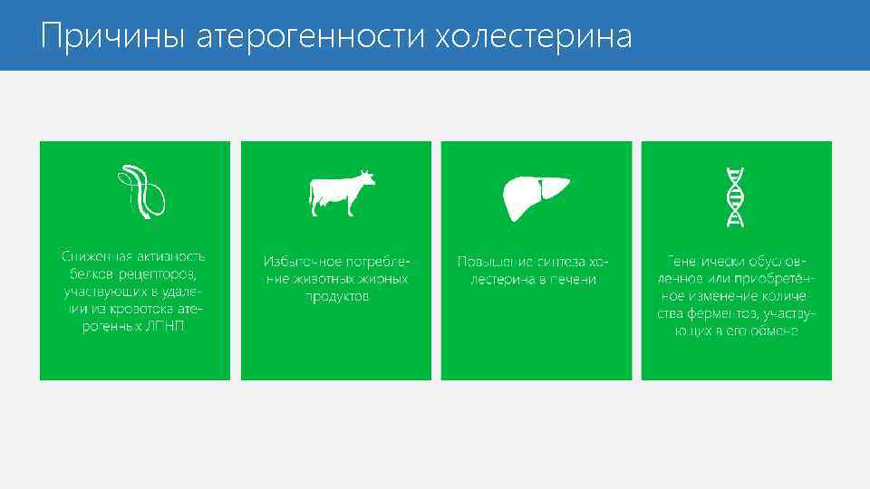 Причины атерогенности холестерина 