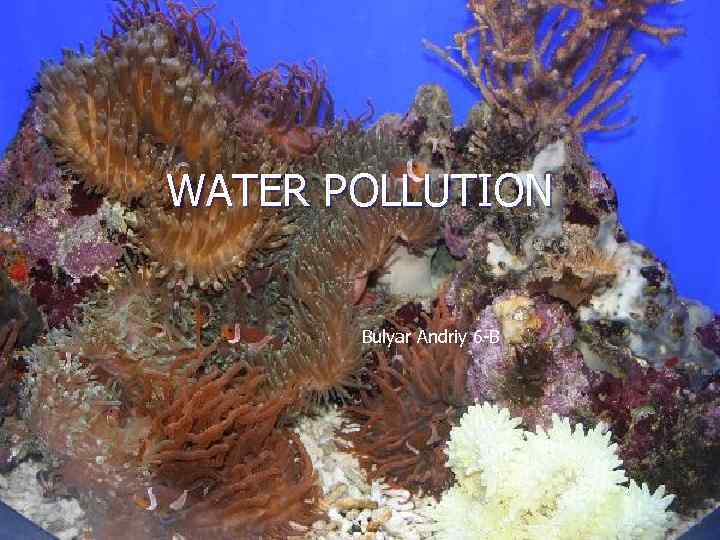 WATER POLLUTION Bulyar Andriy 6 -B 