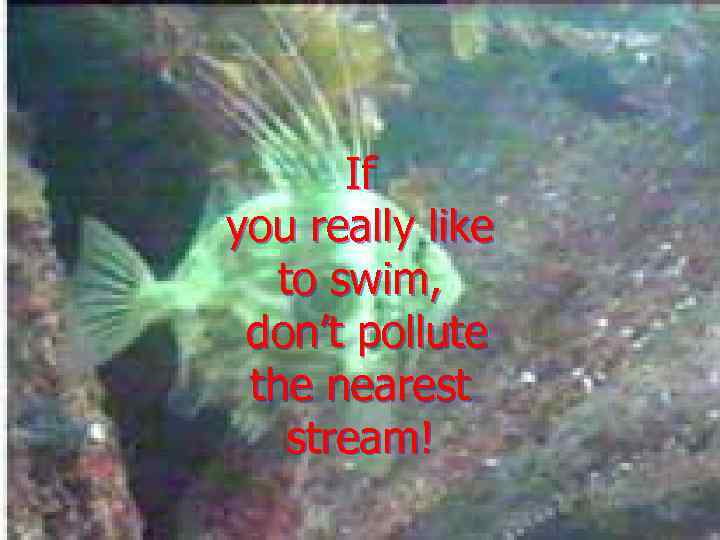 If you really like to swim, don’t pollute the nearest stream! 