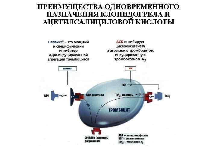 ПРЕИМУЩЕСТВА ОДНОВРЕМЕННОГО НАЗНАЧЕНИЯ КЛОПИДОГРЕЛА И АЦЕТИЛСАЛИЦИЛОВОЙ КИСЛОТЫ 1 --- ьтроп 2 - биьиорлплрпгр 