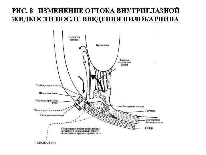 Отток внутриглазной жидкости